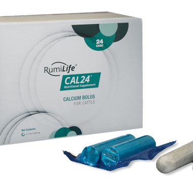 Calcium Cal24 | Easy Farming