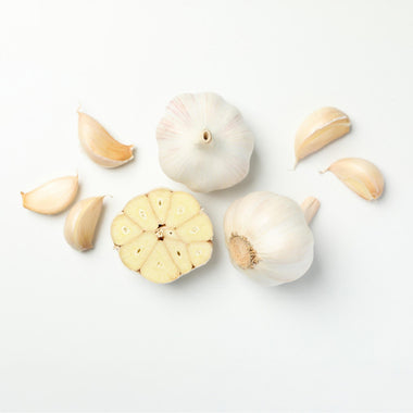 Allimax Bolus