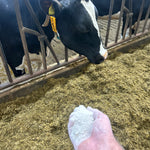 Custom mineral supplement from Easy Farming, showcasing a variety of mineral powders in a natural setting for tailored animal nutrition.